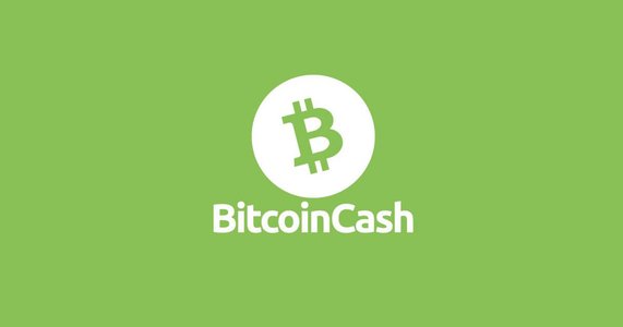 bitcoin-cash- 2